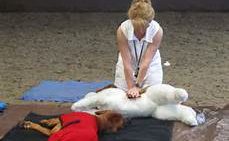 woman-giving-cpr-in-an-outdoor-class